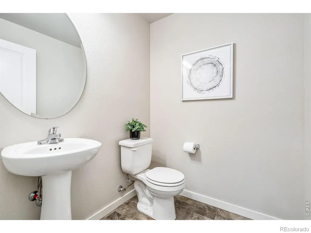 3787 River Birch Street Wellington CO 80549