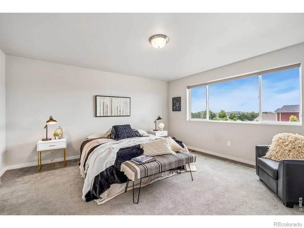3787 River Birch Street Wellington CO 80549