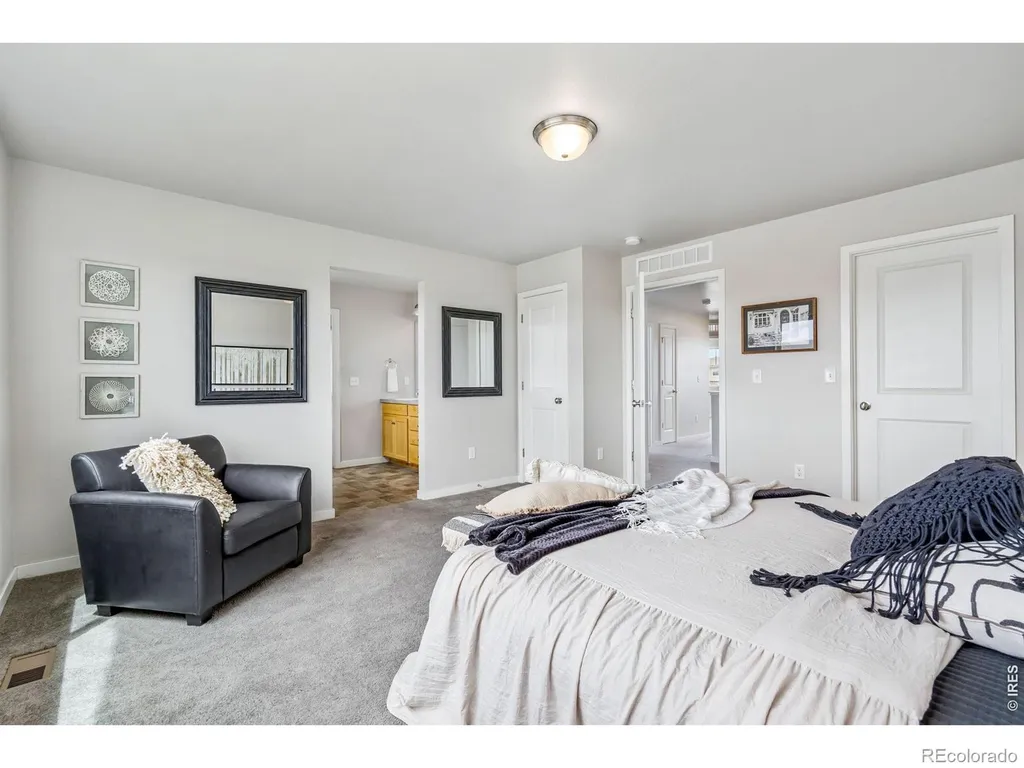 3787 River Birch Street Wellington CO 80549