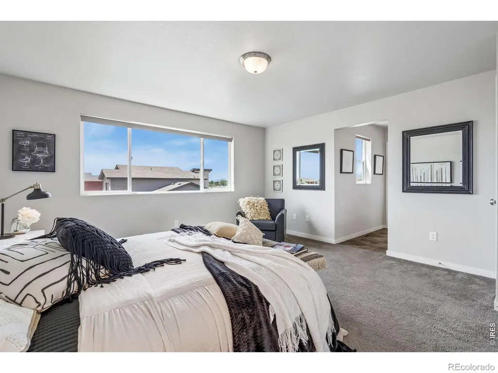 3787 River Birch Street Wellington CO 80549