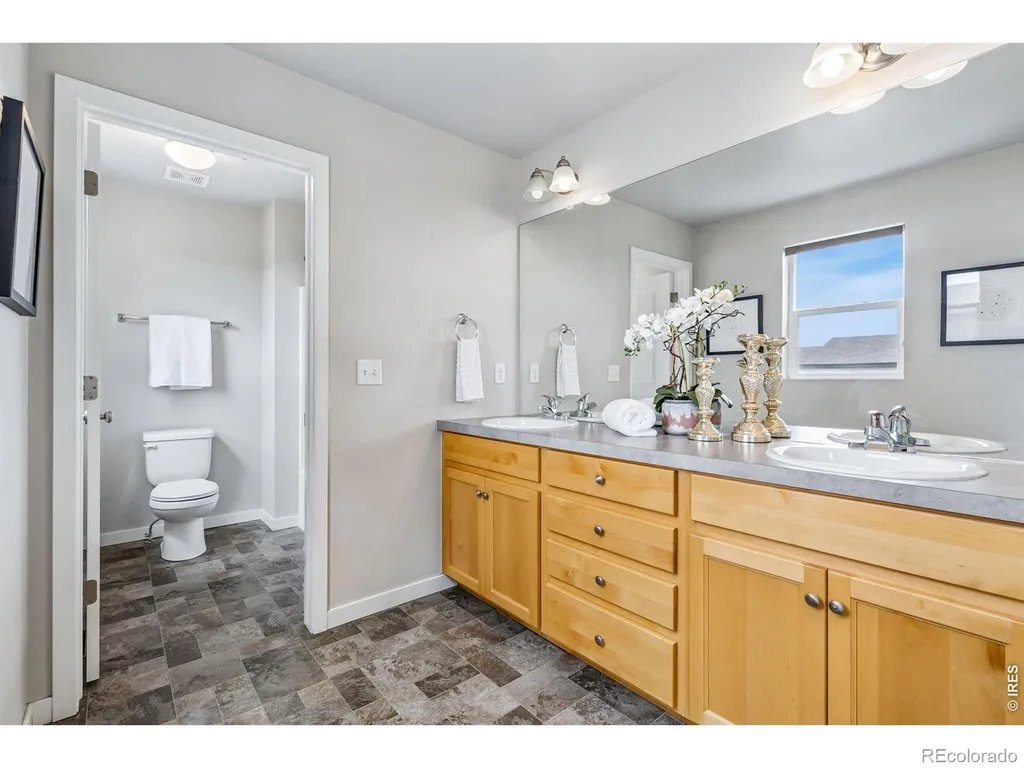 3787 River Birch Street Wellington CO 80549