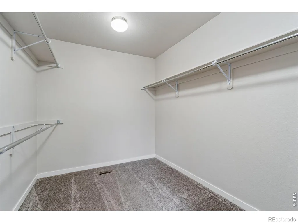 3787 River Birch Street Wellington CO 80549