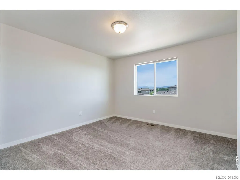 3787 River Birch Street Wellington CO 80549