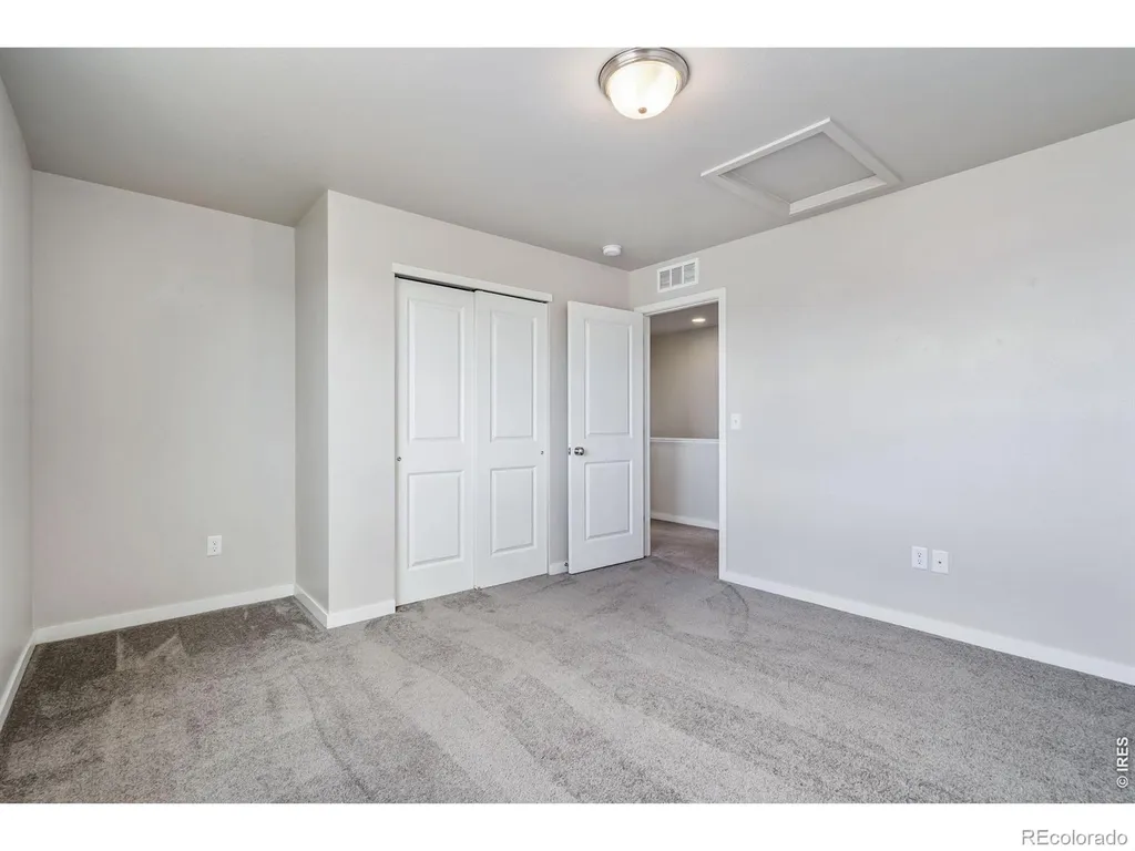 3787 River Birch Street Wellington CO 80549