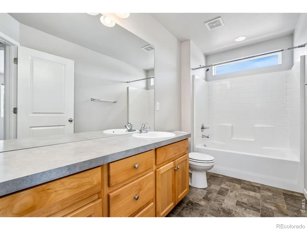 3787 River Birch Street Wellington CO 80549