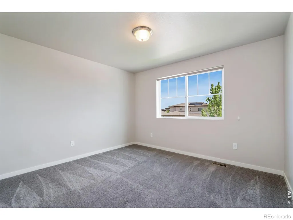 3787 River Birch Street Wellington CO 80549