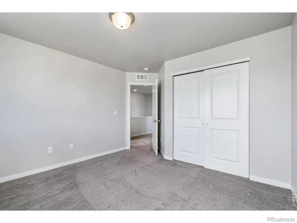 3787 River Birch Street Wellington CO 80549