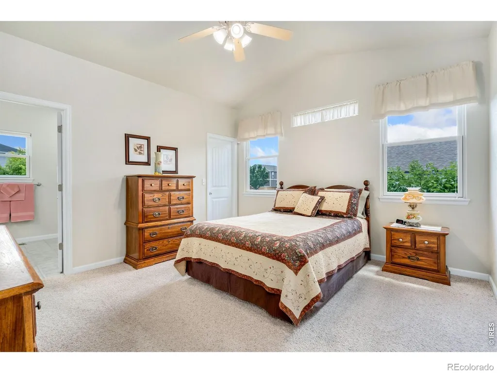 3793 Wine Cup Street Wellington CO 80549