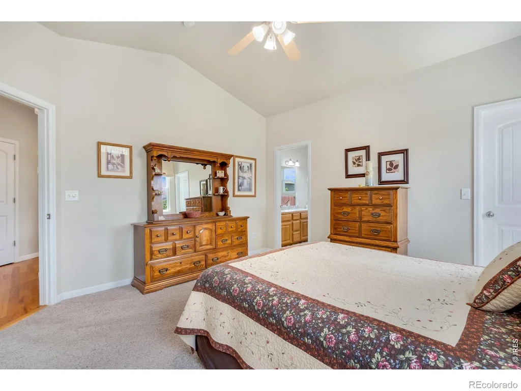 3793 Wine Cup Street Wellington CO 80549