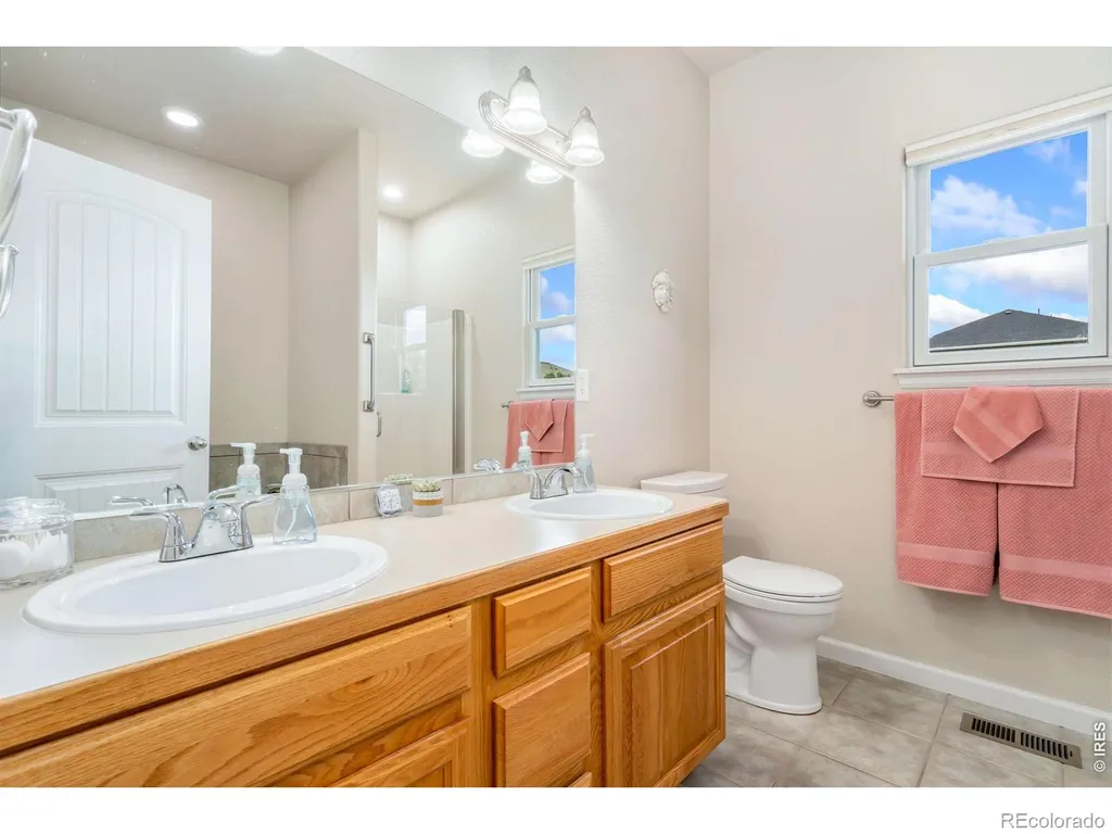 3793 Wine Cup Street Wellington CO 80549