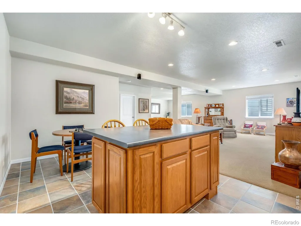 3793 Wine Cup Street Wellington CO 80549
