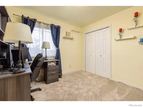 312 Rock Bridge Drive Windsor CO 80550