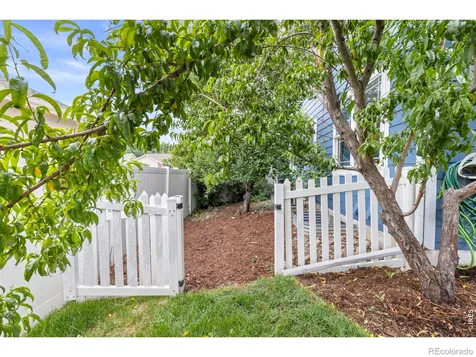 312 Rock Bridge Drive Windsor CO 80550