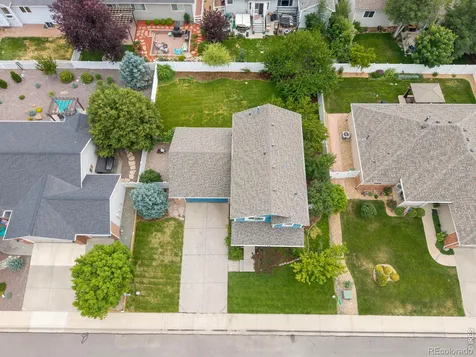 312 Rock Bridge Drive Windsor CO 80550