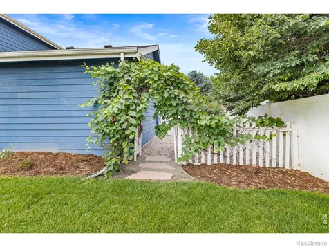 312 Rock Bridge Drive Windsor CO 80550