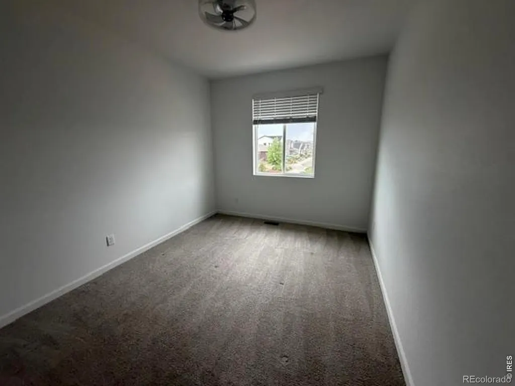 2419 White Pelican Avenue Loveland CO 80538