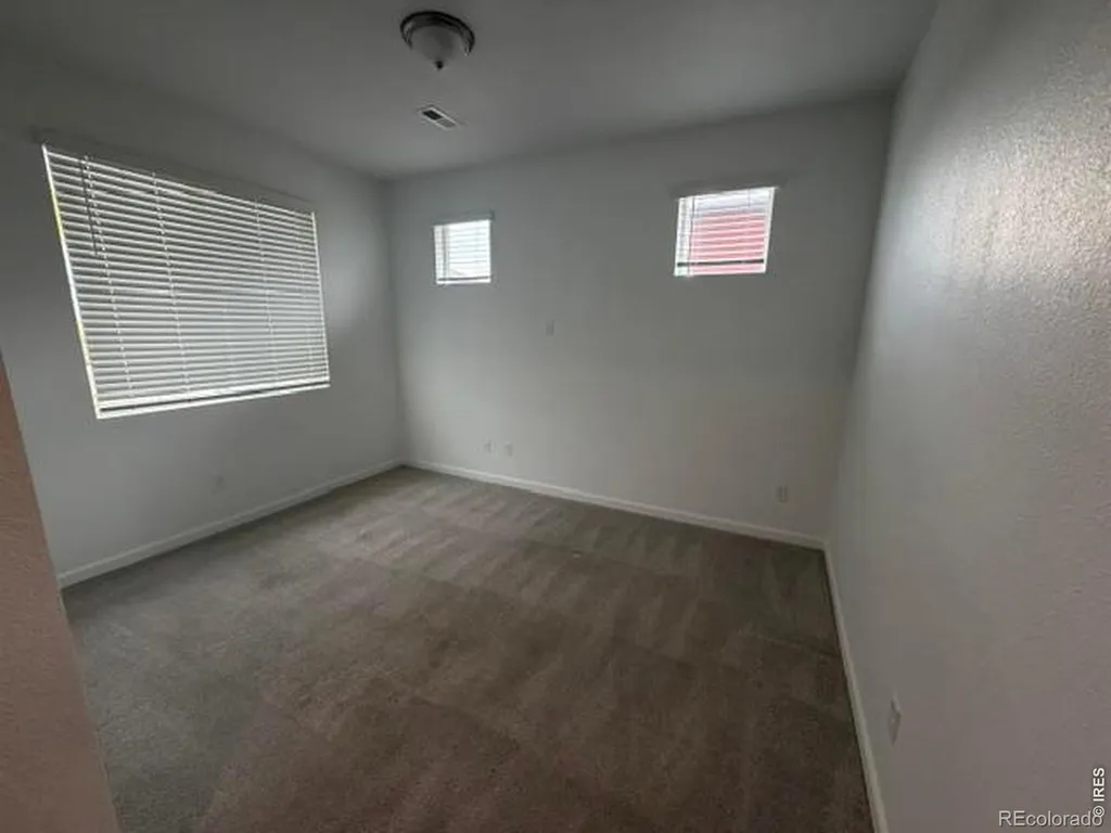 2419 White Pelican Avenue Loveland CO 80538