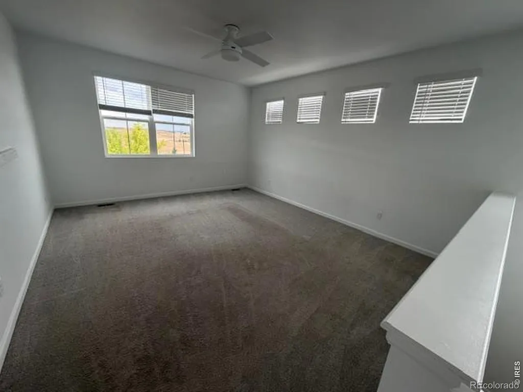 2419 White Pelican Avenue Loveland CO 80538