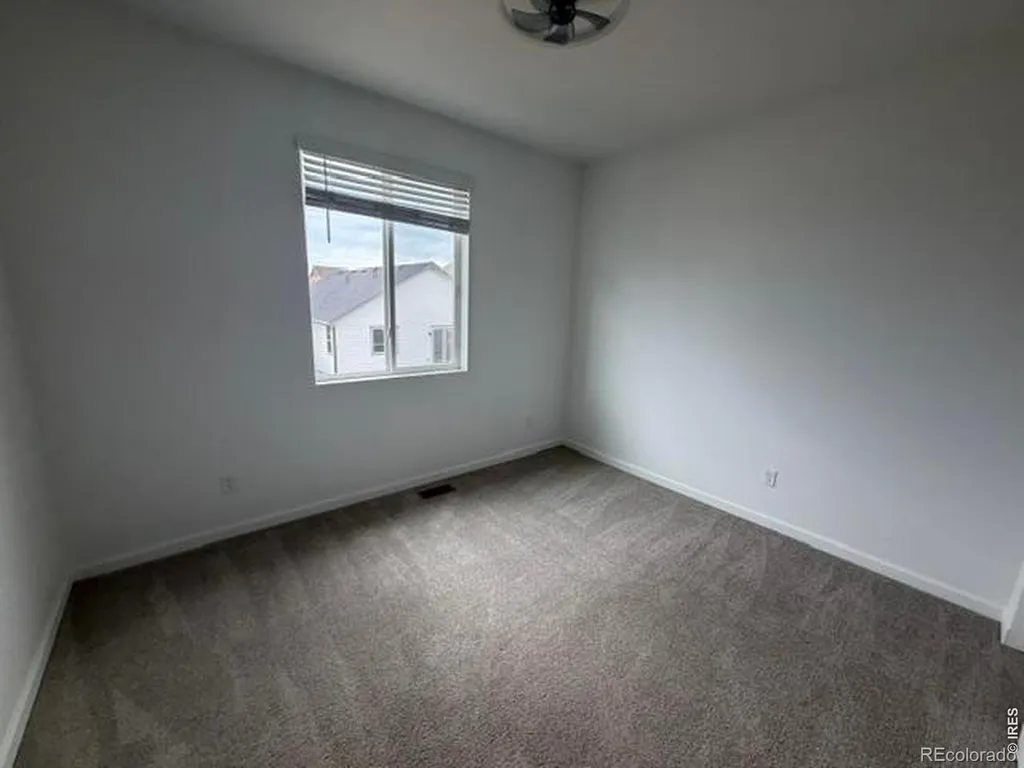 2419 White Pelican Avenue Loveland CO 80538