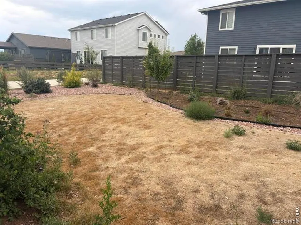 2419 White Pelican Avenue Loveland CO 80538
