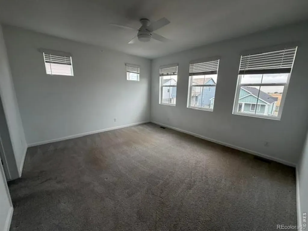 2419 White Pelican Avenue Loveland CO 80538