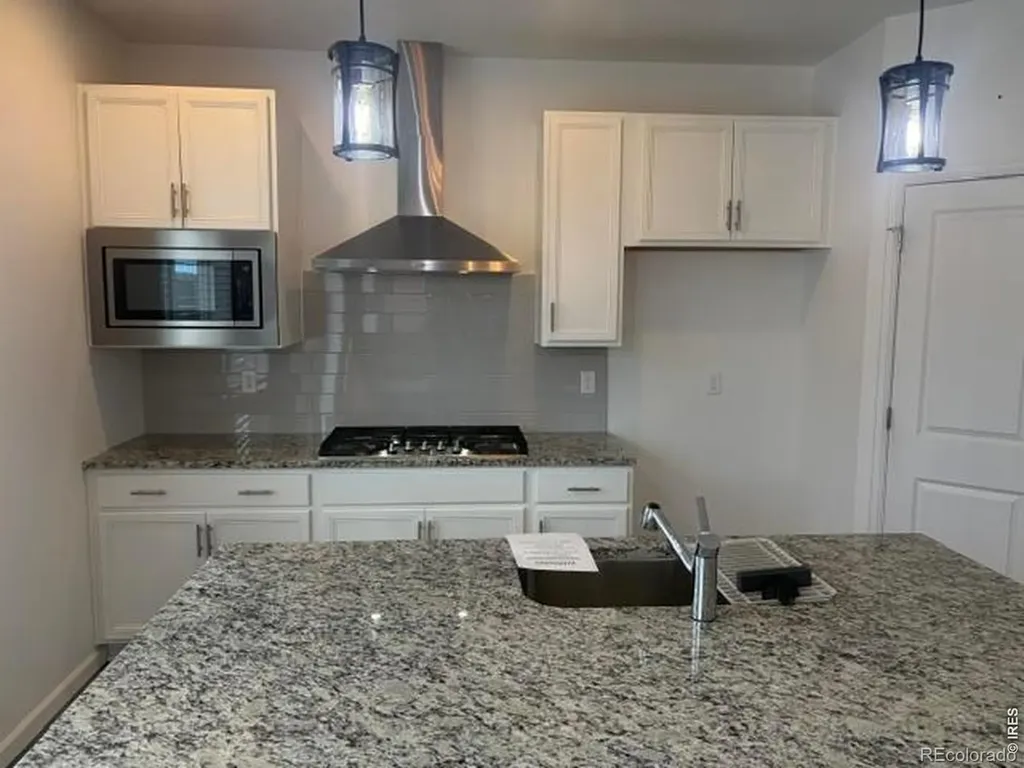 2419 White Pelican Avenue Loveland CO 80538