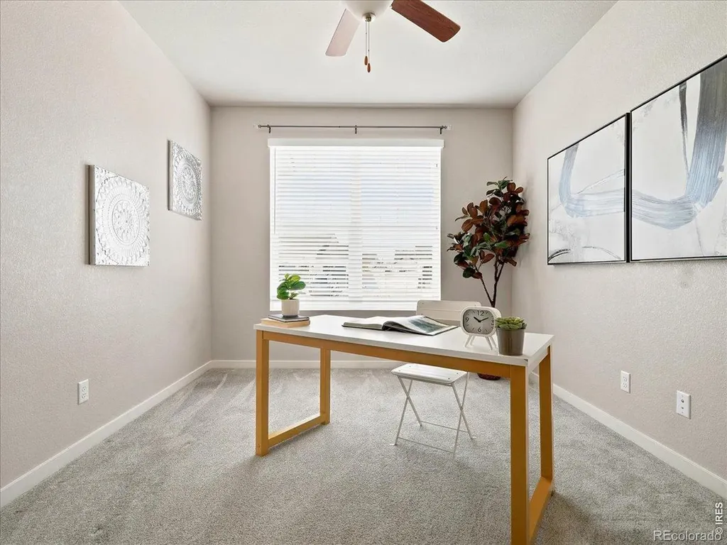1229 Argali Drive Severance CO 80550