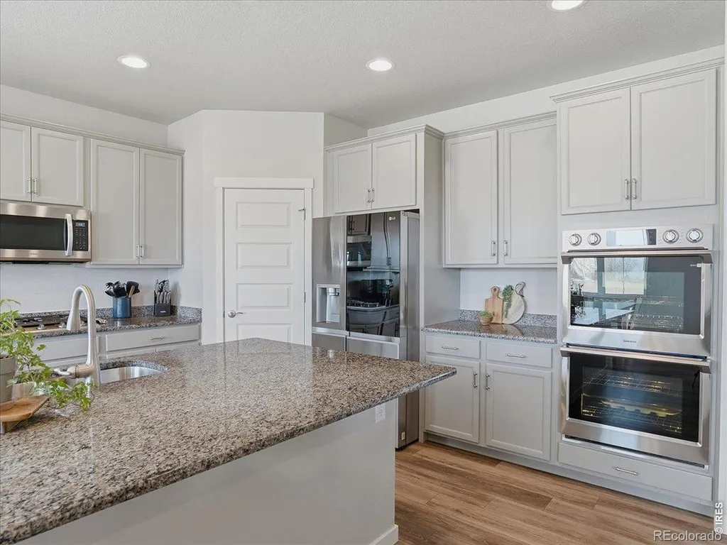 1229 Argali Drive Severance CO 80550