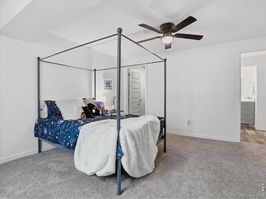 1229 Argali Drive Severance CO 80550