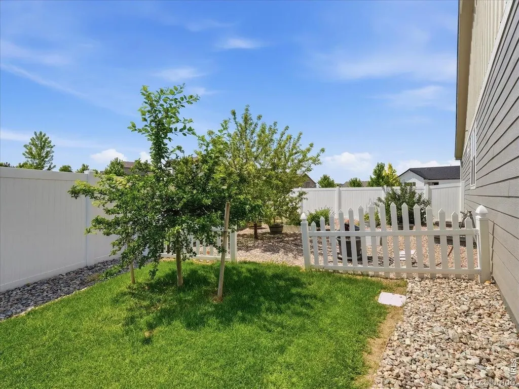 1229 Argali Drive Severance CO 80550