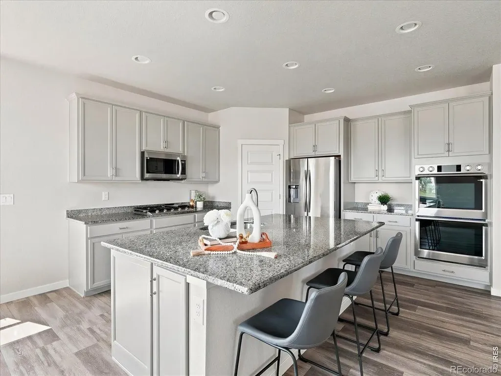 1229 Argali Drive Severance CO 80550