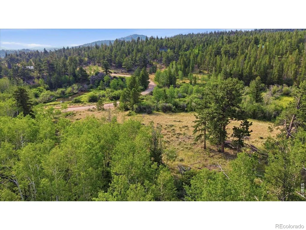 43 Chetco Court Red Feather Lakes CO 80545