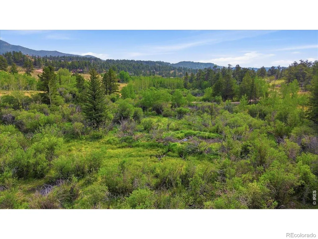 43 Chetco Court Red Feather Lakes CO 80545