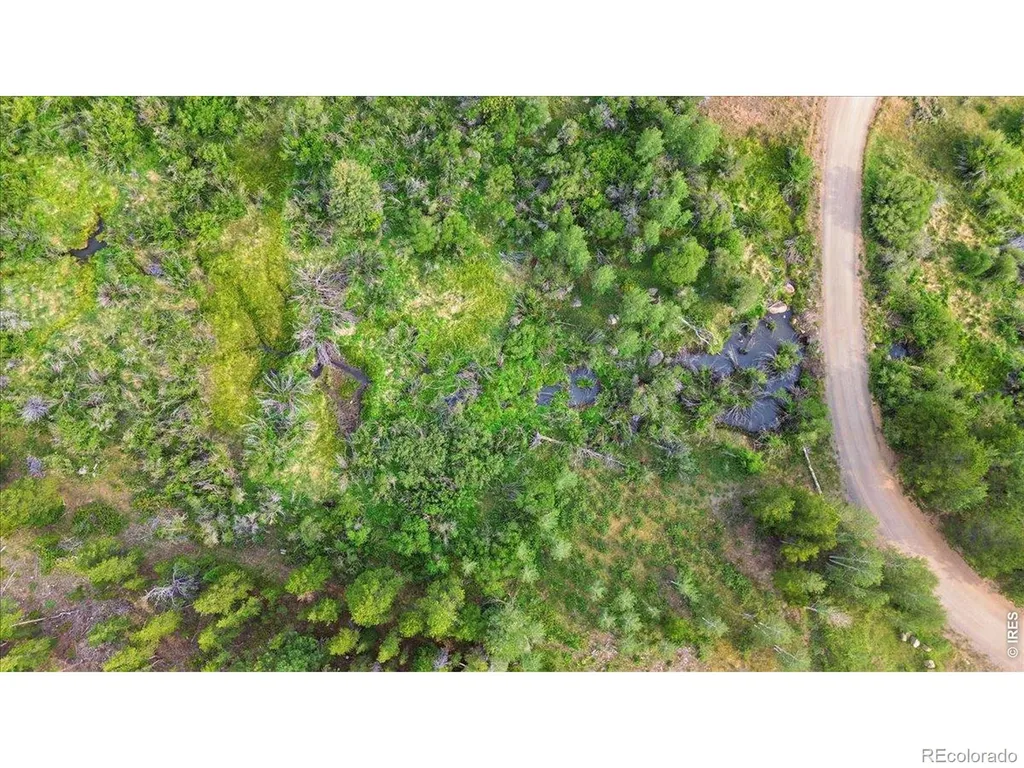43 Chetco Court Red Feather Lakes CO 80545