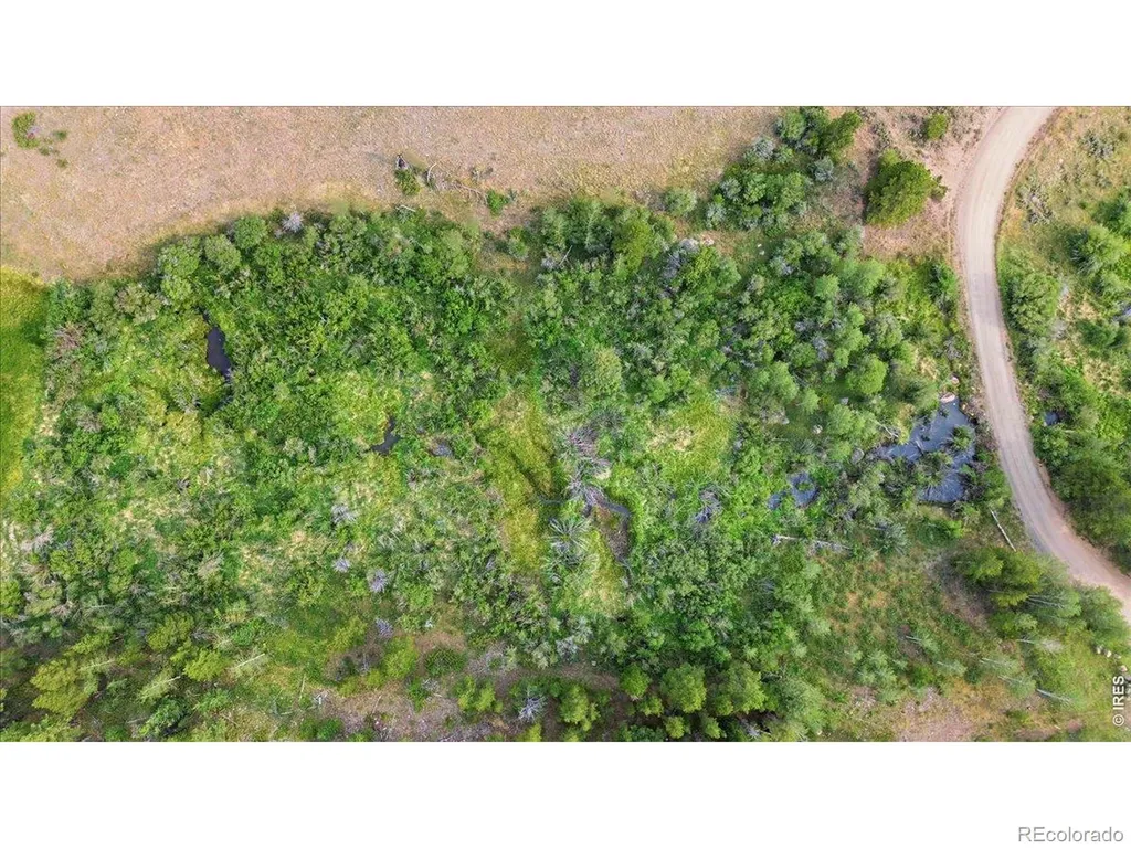 43 Chetco Court Red Feather Lakes CO 80545