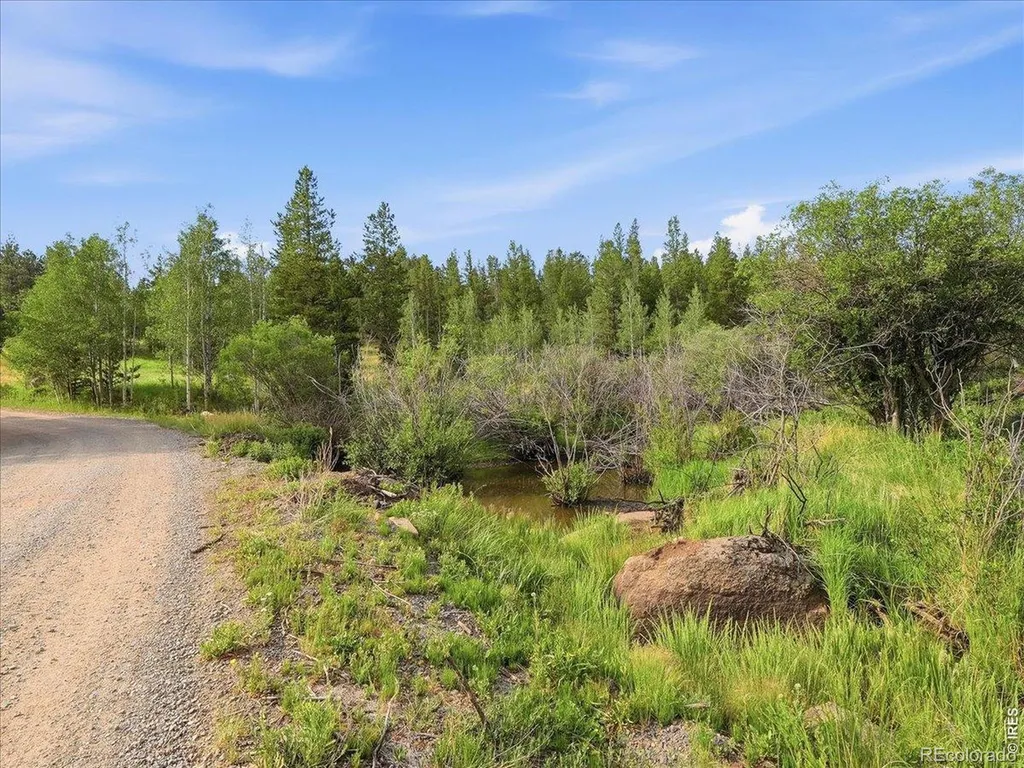 43 Chetco Court Red Feather Lakes CO 80545