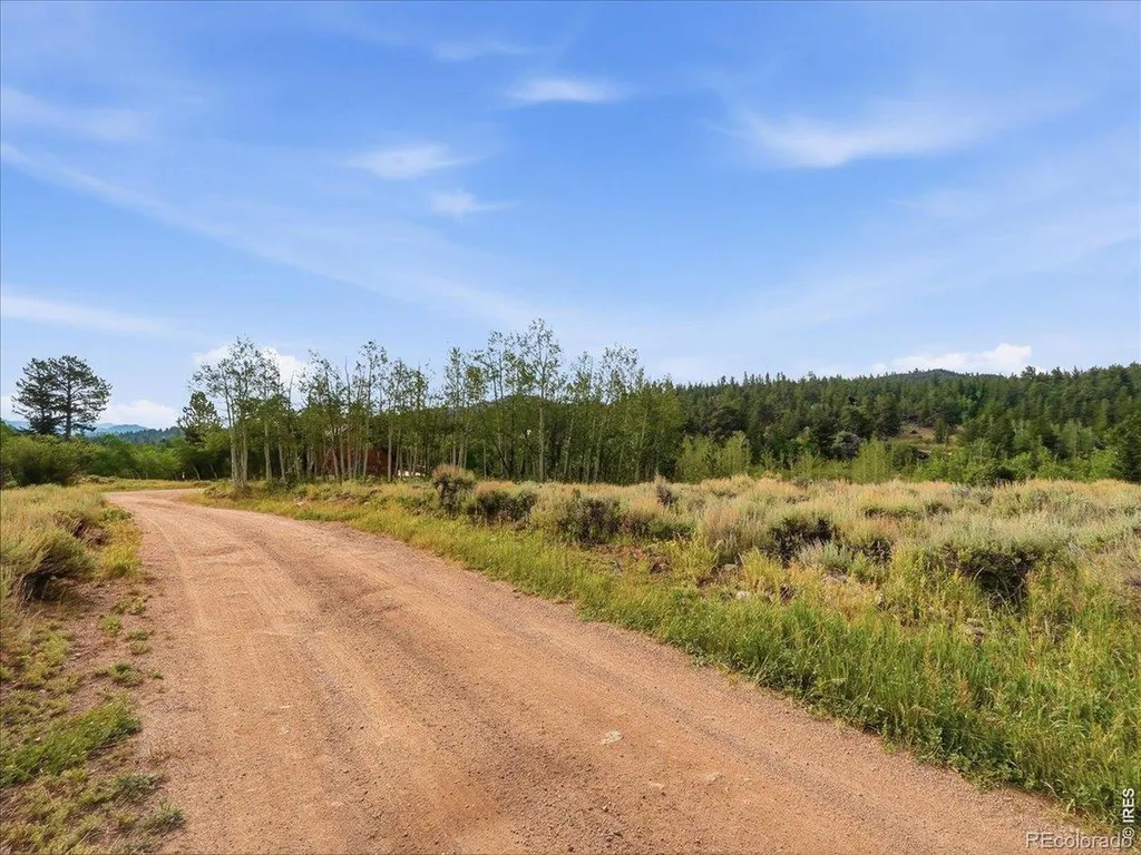43 Chetco Court Red Feather Lakes CO 80545