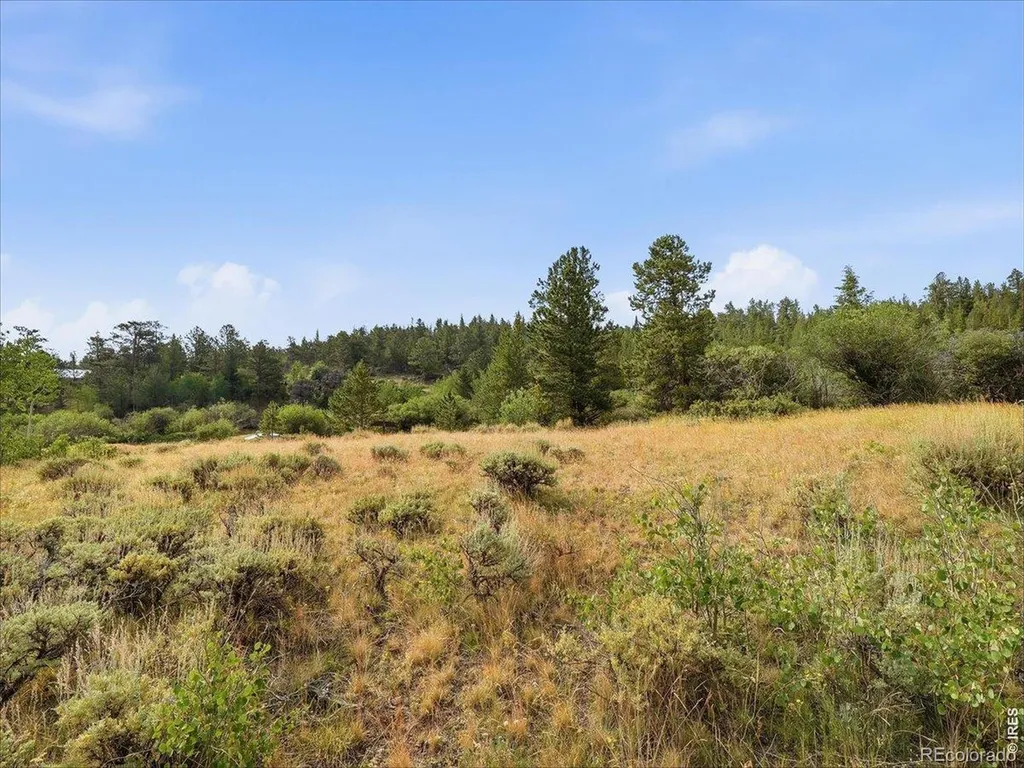 43 Chetco Court Red Feather Lakes CO 80545