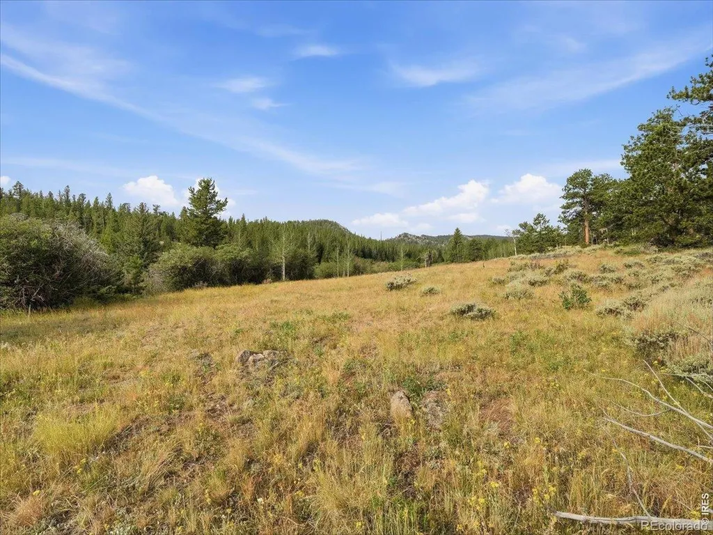 43 Chetco Court Red Feather Lakes CO 80545