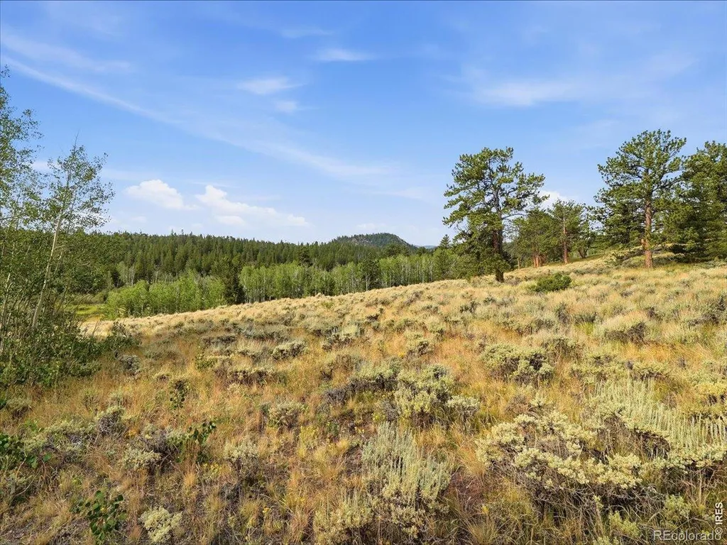 43 Chetco Court Red Feather Lakes CO 80545