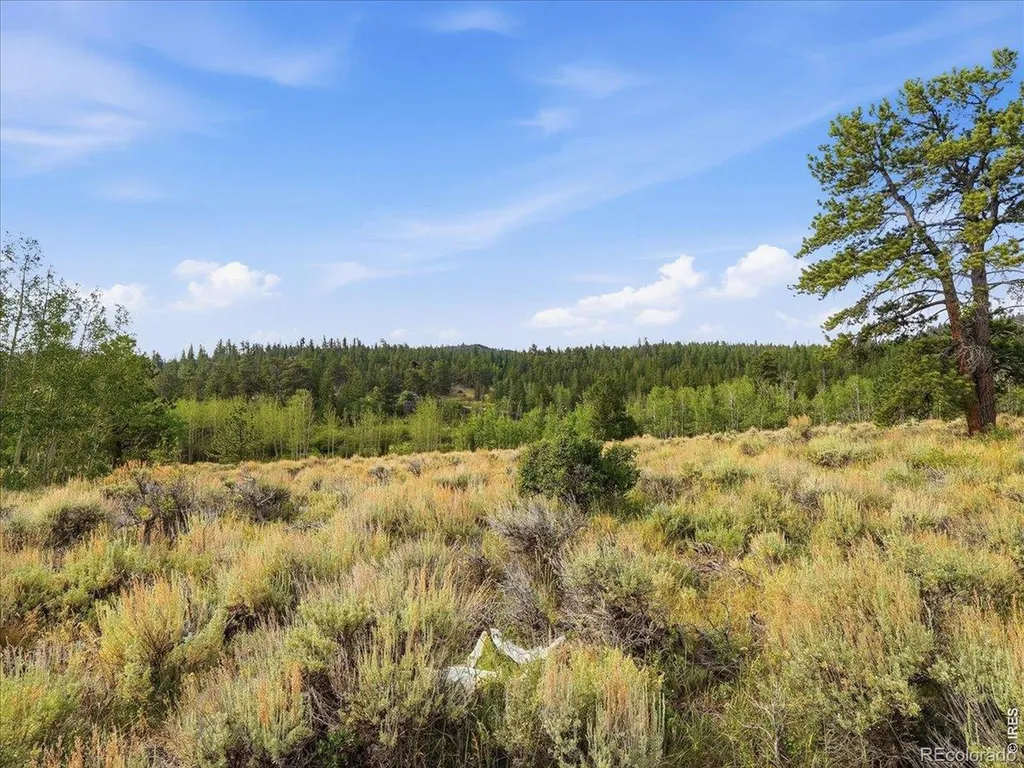 43 Chetco Court Red Feather Lakes CO 80545