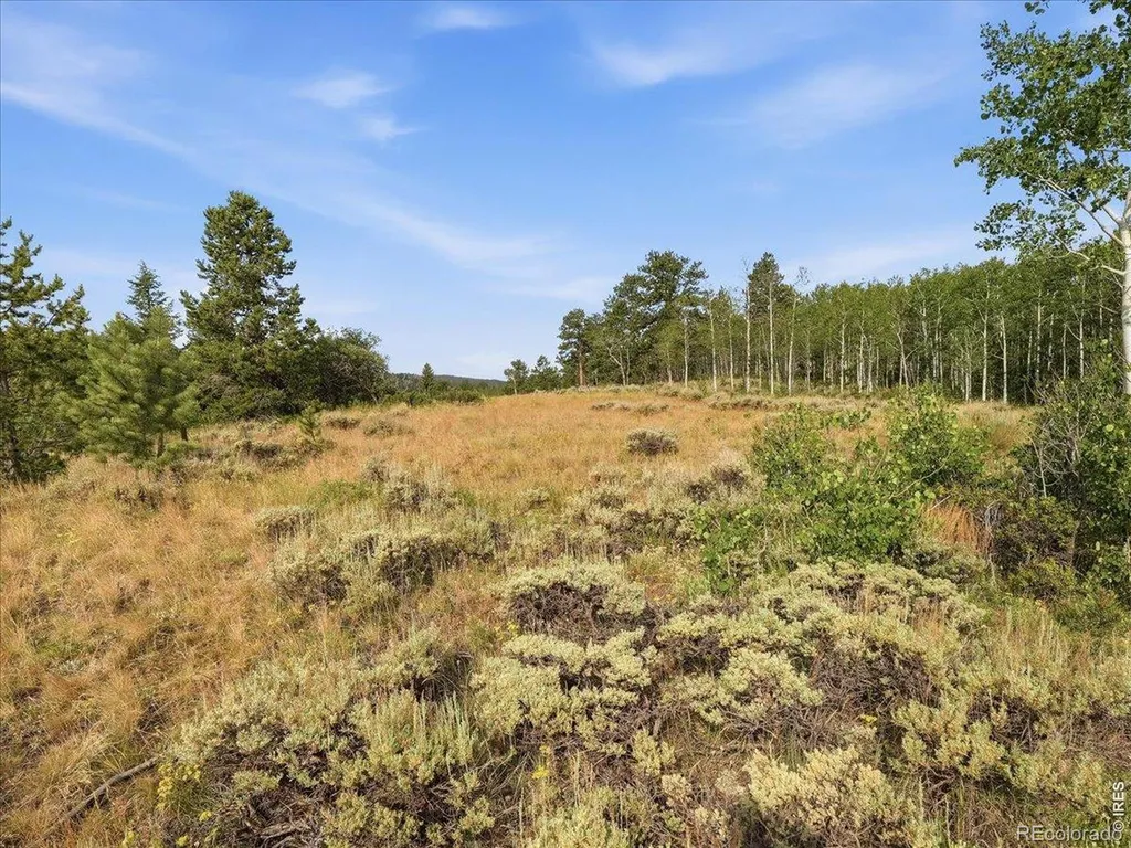43 Chetco Court Red Feather Lakes CO 80545
