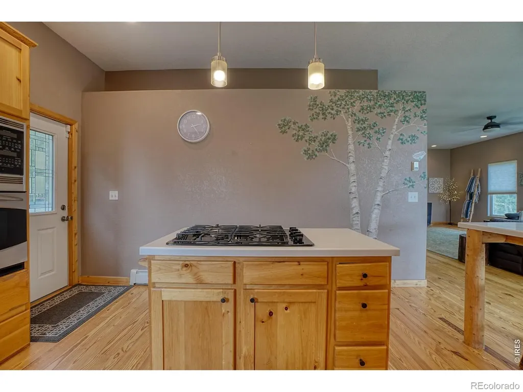 2353 Dory Hill Road Black Hawk CO 80422