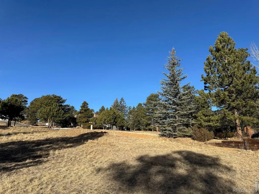 0 Wildwood Drive Estes Park CO 80517