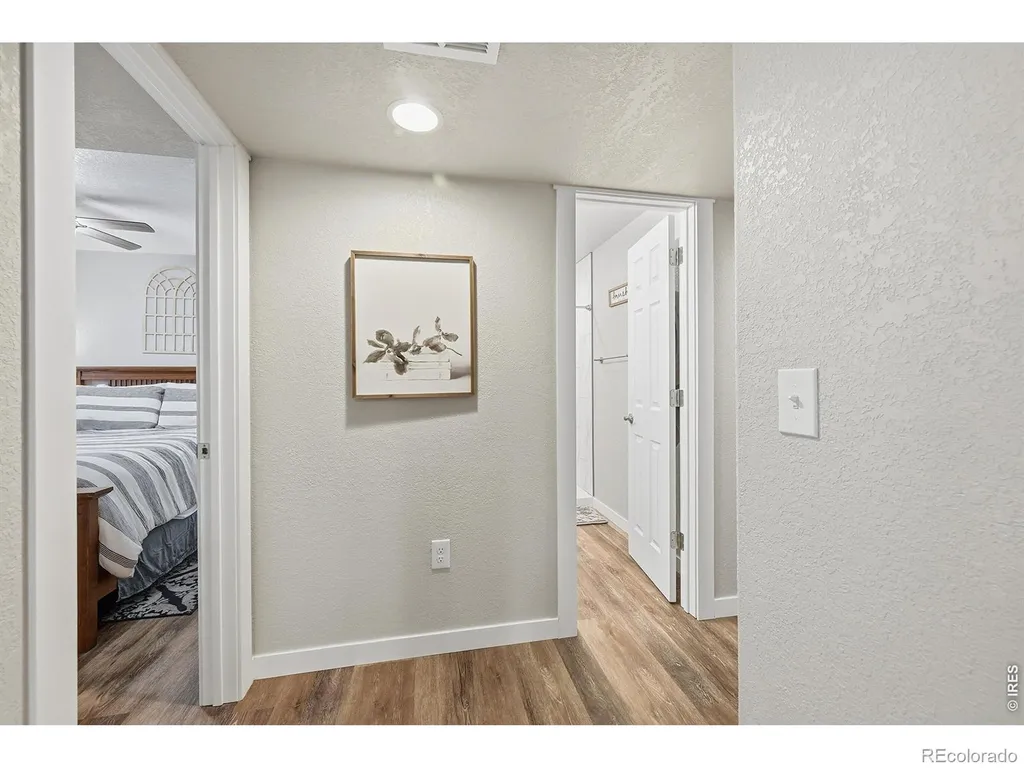671 Vermilion Peak Drive Windsor CO 80550