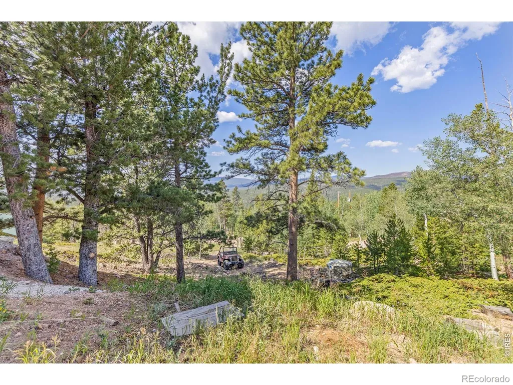 1502 Osage Trail Red Feather Lakes CO 80545
