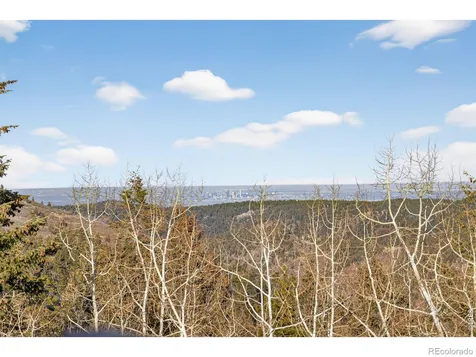 12291 S Critchell Lane Littleton CO 80127