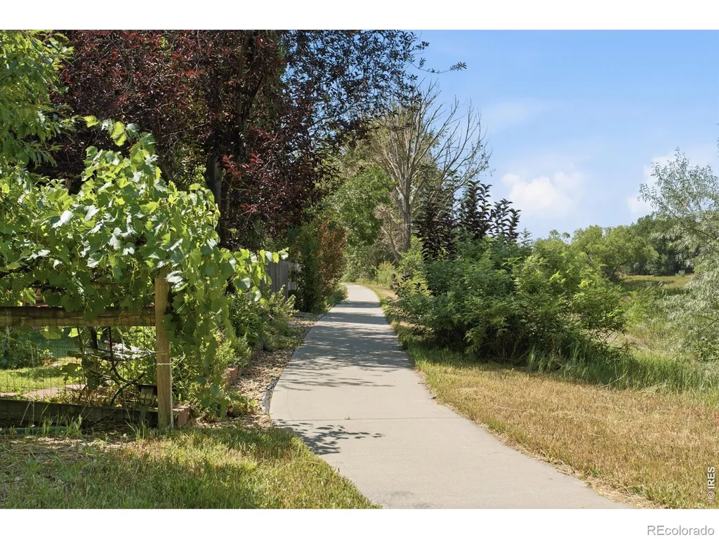 1115 Lochmore Place Fort Collins CO 80524
