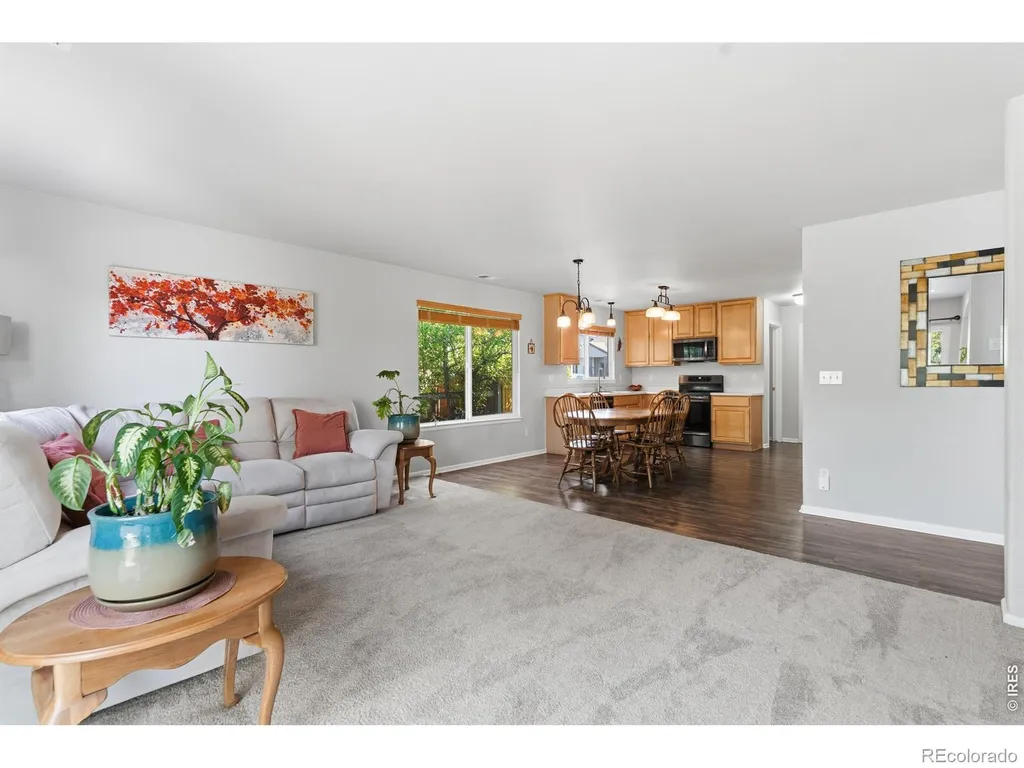 1115 Lochmore Place Fort Collins CO 80524