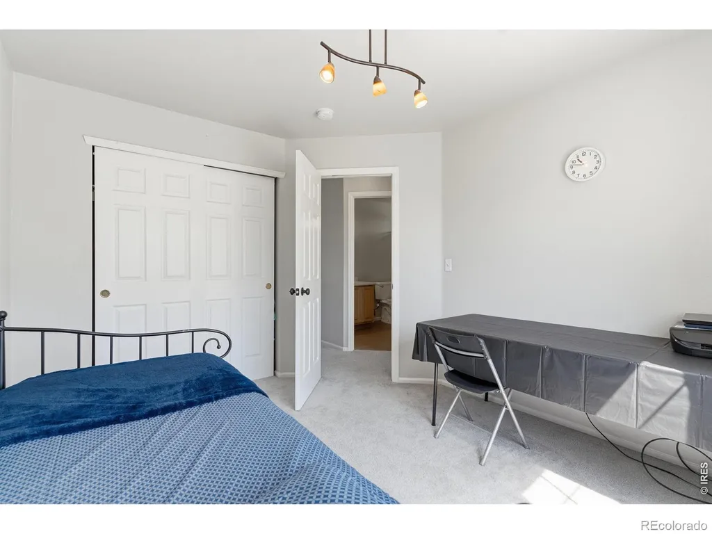 1115 Lochmore Place Fort Collins CO 80524